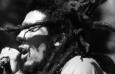 Veja todas as fotos de Bob Marley