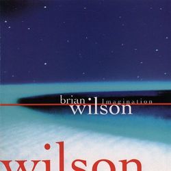 Imagination - Brian Wilson