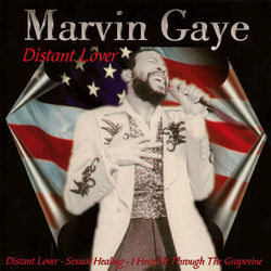 Distant Lover - Marvin Gaye