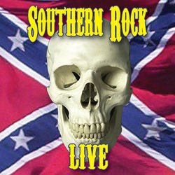 Southern Rock Live - Asleep At The Wheel