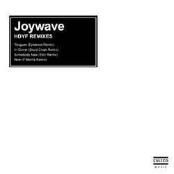 HDYF REMIXES - Joywave