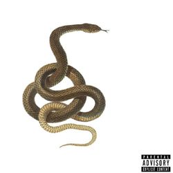 Snakes - Sikdope