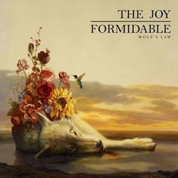Wolf's Law - The Joy Formidable