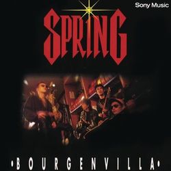 Bourgenvilla - Spring