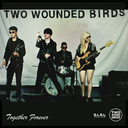 Together Forever - Two Wounded Birds