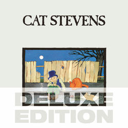 Teaser and the Firecat - Cat Stevens