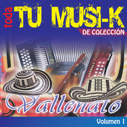 Tu Musi-K Vallenato, Vol. 1 - Los Betos