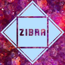 EP3000 - Zibra