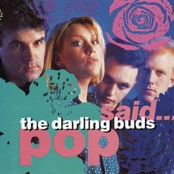 Pop Said - The Darling Buds