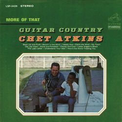 More of That Guitar Country - Chet Atkins