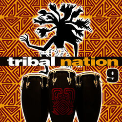 Tribal Nation 9 - White Groove