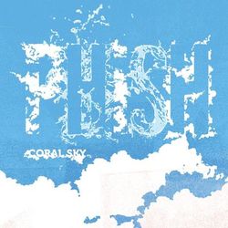Coral Sky - Phish