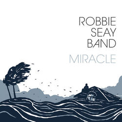 Miracle - Robbie Seay Band