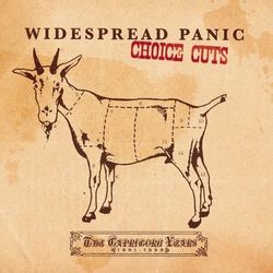 Choice Cuts: The Capricorn Years 1991-1999 - Widespread Panic