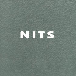 Nest - Nits