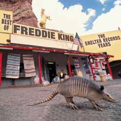 The Best Of Freddie King: The Shelter Years - Freddie King