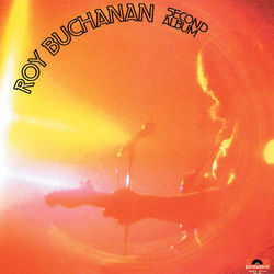 Second Album - Roy Buchanan