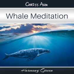 Whale Meditation - Kamal