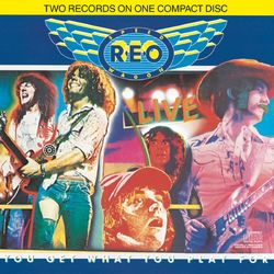 Live You Get What You Play For - Reo Speedwagon