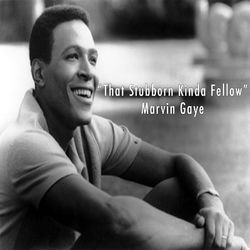 That Stubborn Kinda Fellow - Marvin Gaye - Marvin Gaye