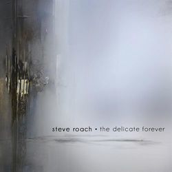 The Delicate Forever - Steve Roach