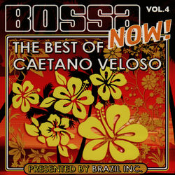 Caetano Veloso - Bossa Now! Vol. 4 - The Best of Caetano Veloso
