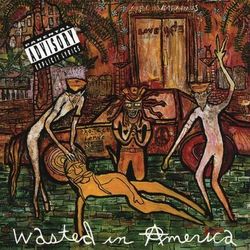Wasted In American - Love/Hate