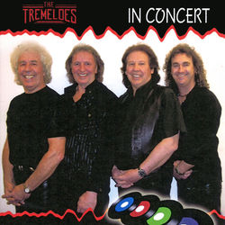 The Tremeloes - In Concert