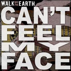Walk Off the Earth - Can't Feel My Face
