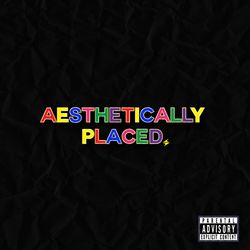 Aesthetically Placed - Dave Steezy