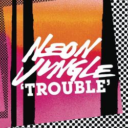 Trouble Remixes - Neon Jungle