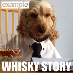 Whisky Story - Example