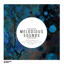 Melodious Sounds, Vol. 5 - Eagles & Butterflies