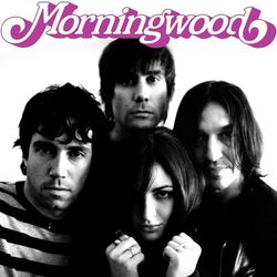Jetsetter - Morningwood