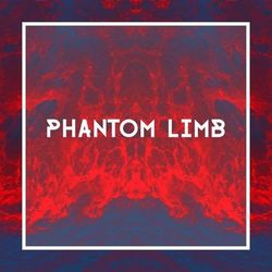 Phantom Limb - Gone Is Gone