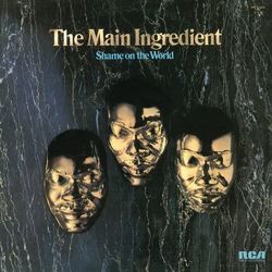 Shame on the World - The Main Ingredient
