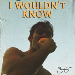 I Wouldn't Know - Benjamin Ingrosso