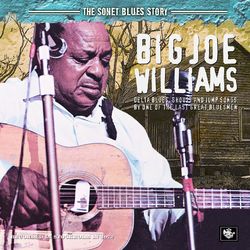 The Sonet Blues Story - Big Joe Williams