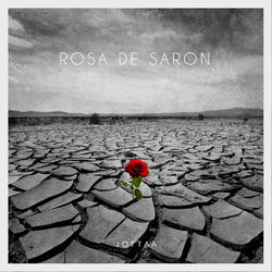 Rosa de Saron - Jotta A