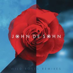 Wild Roses (Remixes) - John De Sohn