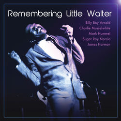 Remembering Little Walter - Little Walter