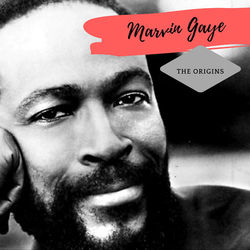 The Origins - Marvin Gaye