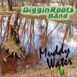 Muddy Water - Leroy Carr