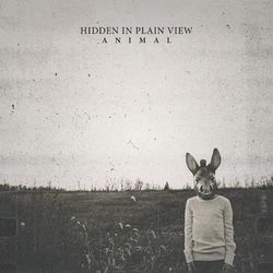 Animal - Hidden in Plain View