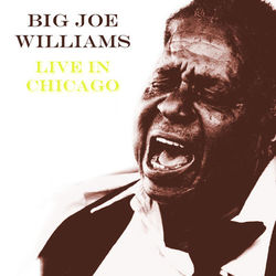 Live In Chicago - Big Joe Williams