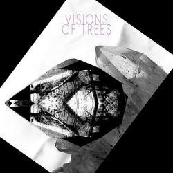 Visions Of Trees - Visions Of Trees