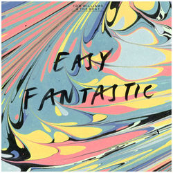 Easy Fantastic - Tom Williams & The Boat