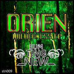 Wilderness EP - Orien