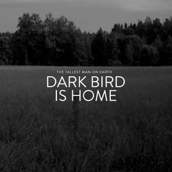 Dark Bird Is Home - The Tallest Man On Earth