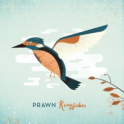 Kingfisher - Prawn